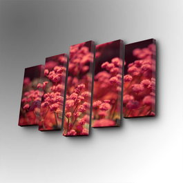 Wallity Cuadro Decorativo en Lienzo de 5 Piezas 5PUC-114 Multicolor
